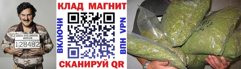 Названия наркотиков Заполярный Псилоцибиновые грибы  Альфа ПВП  Амфетамин  Мефедрон  COCAIN  Гашиш  Марихуана 