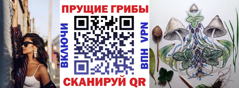 это телеграм  закладки  Заполярный  Галлюциногенные грибы Cubensis 